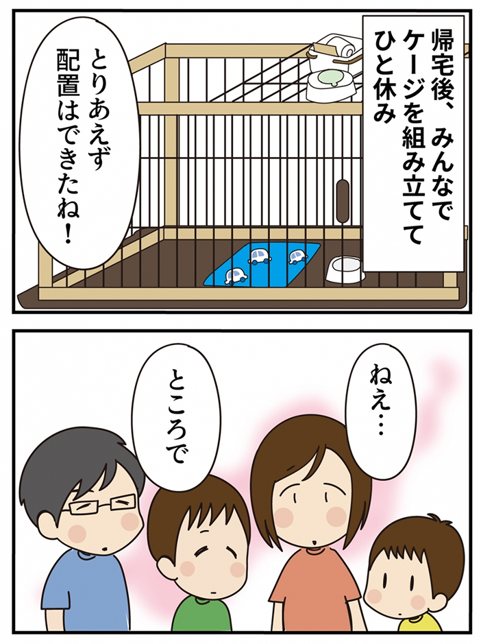 第14話 君の名は