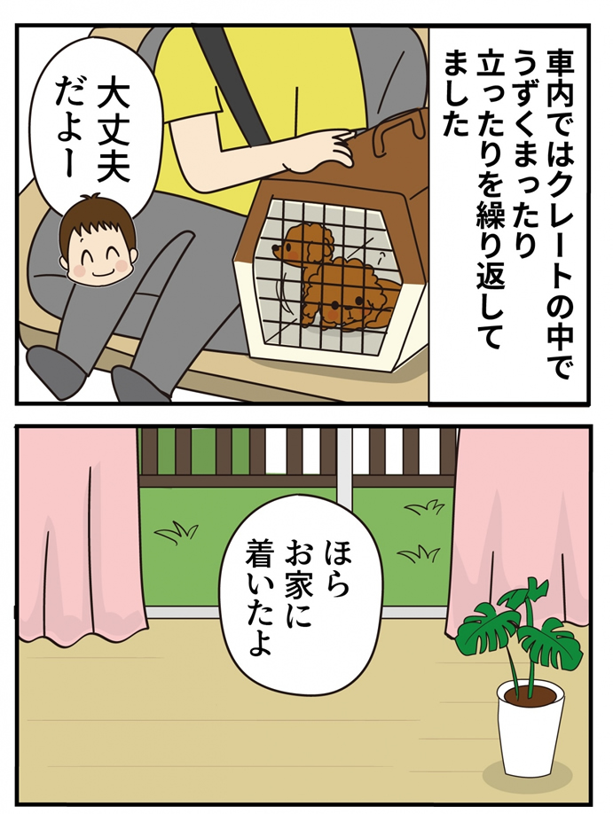 第14話 君の名は