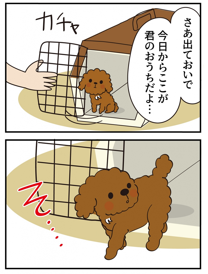 第14話 君の名は