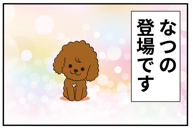 第15話 卒業 前編