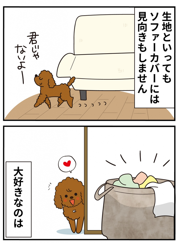 第15話 卒業 後編