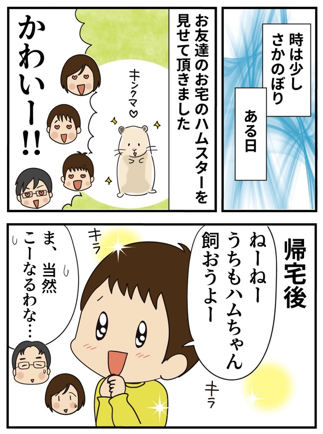 第13話 始まりの始まり -1-