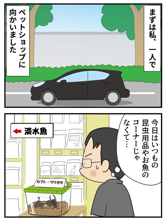 第13話 始まりの始まり -3-