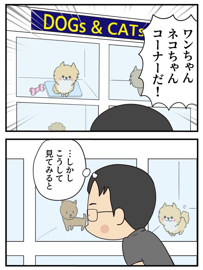 第13話 始まりの始まり -3-