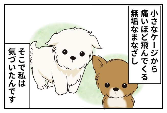 第13話 始まりの始まり -3-