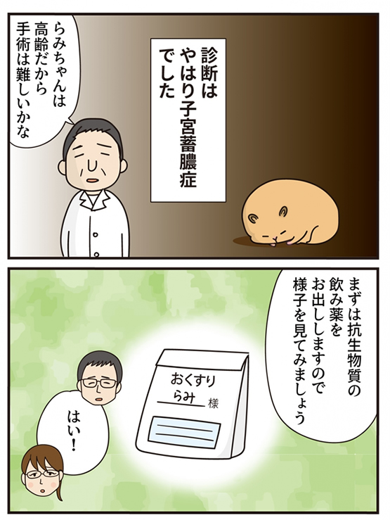 【特別短編】青く澄んだ空に -後編-